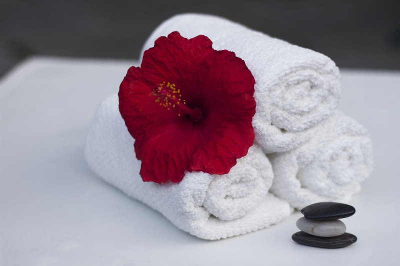 chambre-hote-ST CYR SUR MER-min_towel_hibiscus_clean_care_salon_spa_white_bath-869834